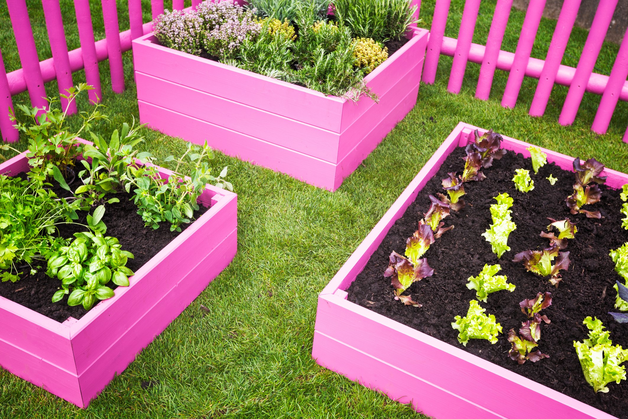 Proper Size for Raised Garden Beds | eHow