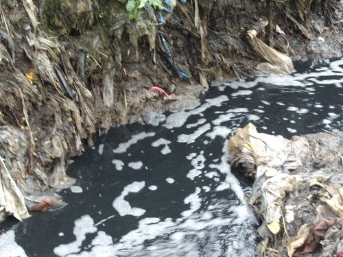 Many types of substances pollute the water. Many types of substances pollute the water.