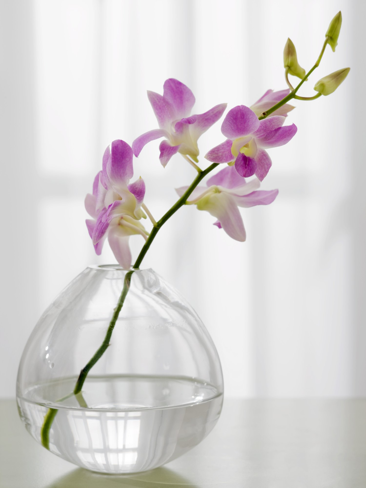 How To Make Silk Flower Arrangements With Clear Acrylic EHow