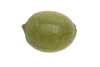 How to Treat Sarcoptic Mange With Lime How to Treat Sarcoptic Mange With Lime
