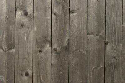 cedar fence wood stain fences vs staining pine spruce weathering weathered wooden natural garden gray hendersonville brown getty homeguides sfgate