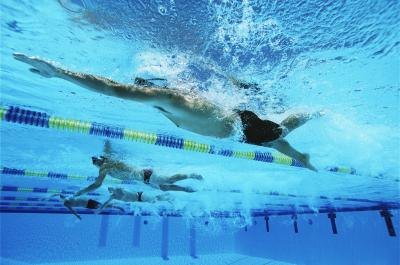 Swimmers doing laps