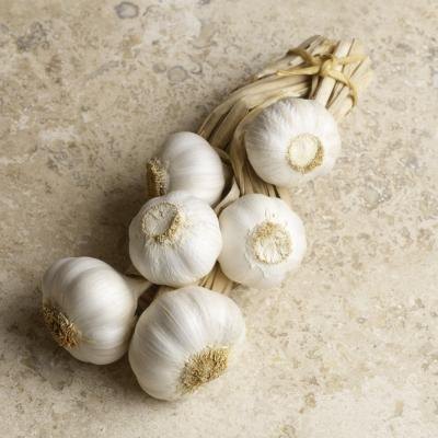 Garlic cloves on a counter top.