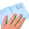 How to Obtain a Mexican Passport