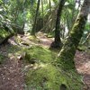 National Landmarks & Monuments in the Rainforest