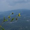 Campgrounds in Bat Cave, NC