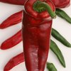 Red Hot: Hatch Valley's Chile Festival