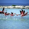 The Best Beaches on Bonaire Island