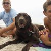 Dog-Friendly Beaches on the Florida Panhandle