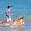 Alabama Dog-Friendly Beaches Near the Gulf Shores