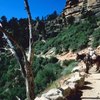 Best Family Tours of the Grand Canyon