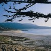Campgrounds near Carmel-by-the-Sea, California