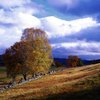 The Best Time to Visit Scotland for Autumn Leaves
