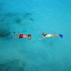 Snorkeling in Goat Island, Mazatlan