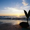 Beaches Near Kapaa, Hawaii