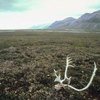 Landscapes and Landforms in the Arctic Circle