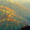 Places to Visit in Autumn in Tennessee