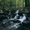 Tent Campsites on the Appalachian Trail in Georgia