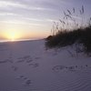 Top  Beaches on the Florida Panhandle