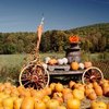 Marketing Strategies for Pumpkin Patches