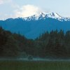 Guided Tours of the Pacific Northwest