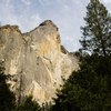 The Endangered Species List for Yosemite National Park