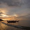 The Best Snorkeling in Koh Phi Phi, Thailand