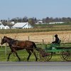 History of the Horse & Cart