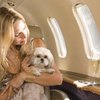 How do I Travel With Pets on a Greyhound?