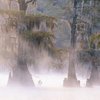Places to Stay on Caddo Lake