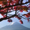 How to Travel to Mount Fuji From Yokohama