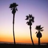 Beach Guide: Southern California Coastline