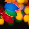 Guide to Holiday Light Displays in Colorado