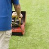 Small Lawn Service Business Basics