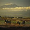 Elevations & Landforms in the Great Rift Valley