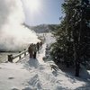Busiest Time to Visit Yellowstone
