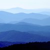 Plants in the Blue Ridge Mountains