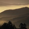 Smoky Mountains Honeymoon Suites