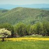 Camping at Shenandoah River State Park