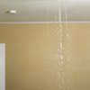 How Water Damage Restoration Companies Make Money