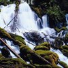 Campgrounds Near Diamond Lake, Oregon