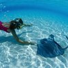 The Best Snorkeling Sites in the Caribbean
