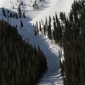 Where to Ski in Aspen
