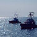 Deep Sea Fishing in St. Petersburg, Florida
