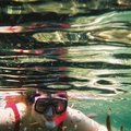 How to Find Cozumel, Mexico, Snorkeling Tours