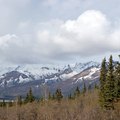 Alaska Ecotourism