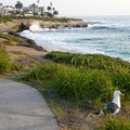 Fun Things to Do in San Diego, California, for Kids