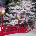Good Places to Visit in Early March in Japan