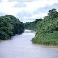 Facts About the Amazon Rain Forest