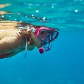 Snorkeling in North Florida